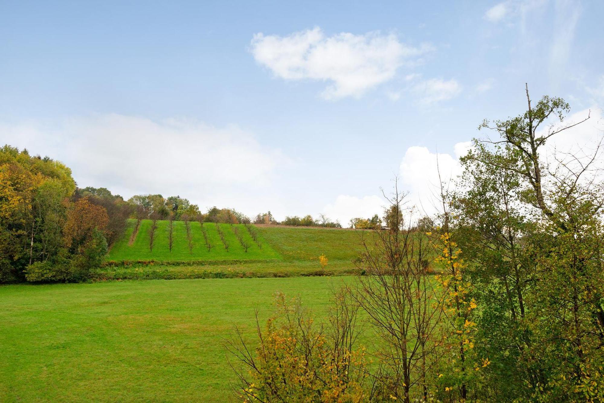Schwarzwaldtani - Doerfle Weier Exterior foto